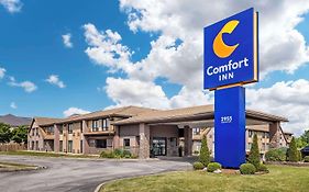 Comfort Inn